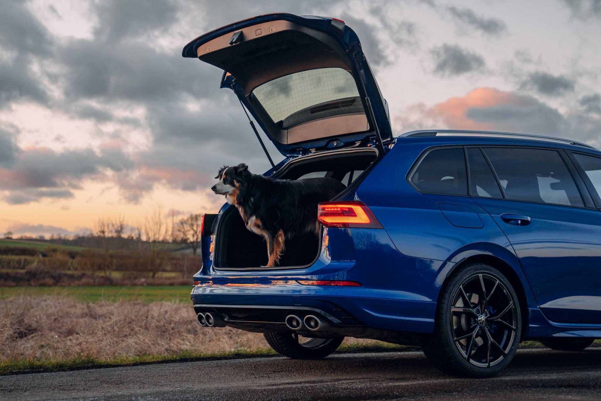 rear view of a blue volkswagen golf r estate with a dog coming out of an open boot