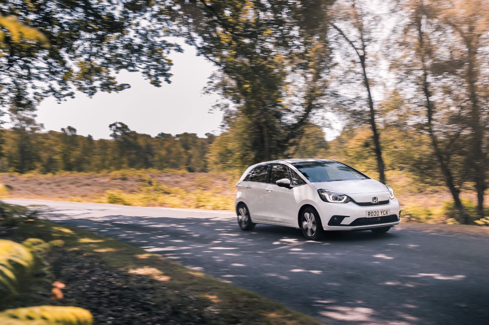 White Honda Jazz exterior parked under a tree